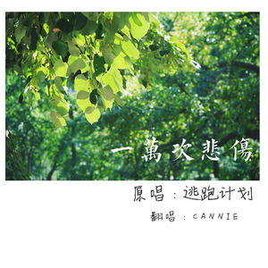 国产在线无码观看
